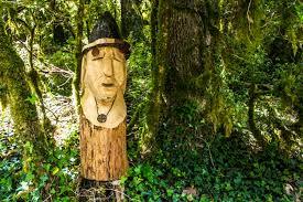 el Bosque Animado
