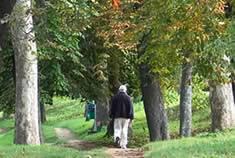 Paseo Del Arga